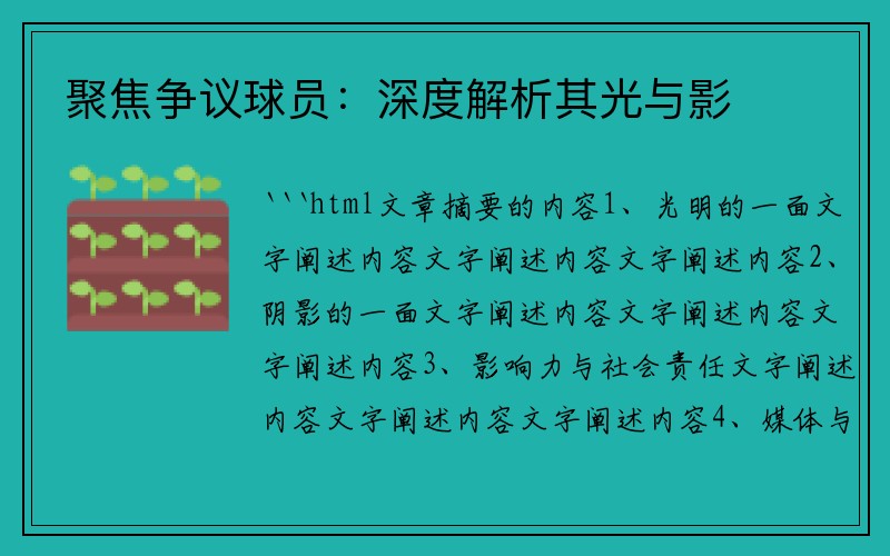 聚焦争议球员：深度解析其光与影